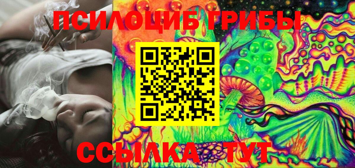 Галлюциногенные грибы Psilocybine cubensis  Псилоцибиновые грибы прущие грибы  Карачаевск  Вход с VPN 