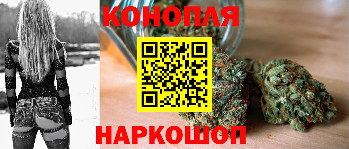 Канабис гибрид Карачаевск